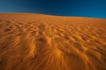 Red Dunes 2